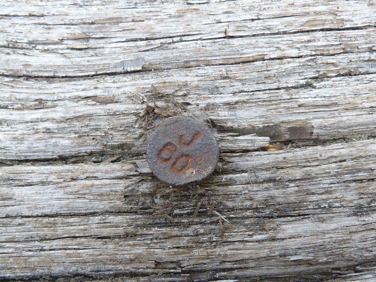 P1110296