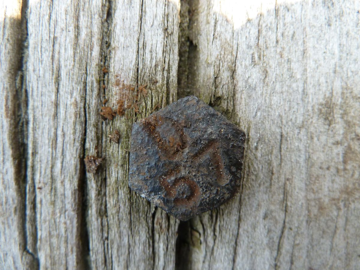 P1110298