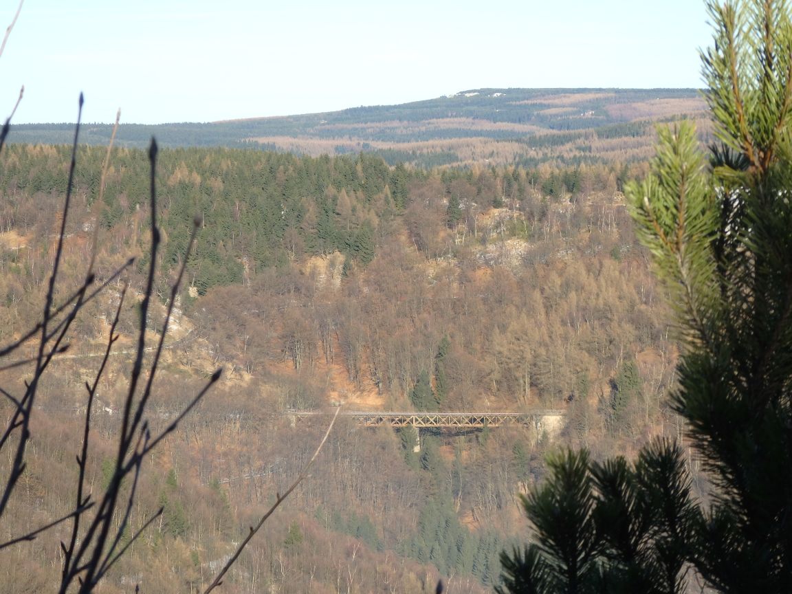 P1011915